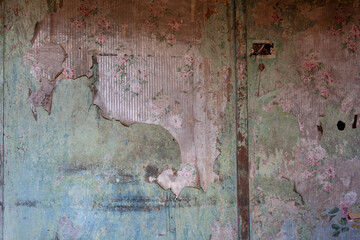 Antique wallpaper with rose pattern peeling off a wall