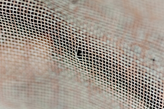 Close up of torn flyscreen
