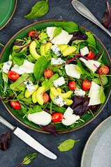 Vegetable salad with greens and mozzarella