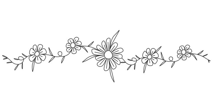 Hand drawn thin floral botanical line art