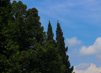 Beautiful Blue Sky in West Java Indonesia