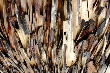Dry leaf backdrop and texture for roof hut. Dry coconut leaf background.