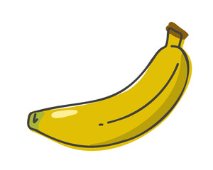 Banana, vector cartoon hand drawn illustration