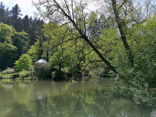 Fototapeta na wymiar Der Waldsee in Freiburg