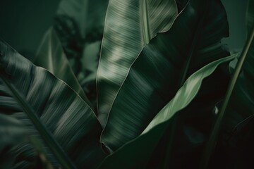 green big leaves background. eco background. tropical leaves, abstract green leaves texture, nature background. generative ai