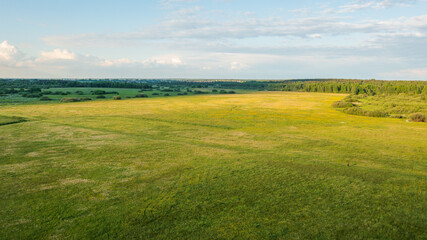 Fototapeta na wymiar Meadow with trees landscape from aerial