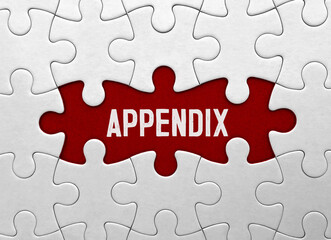 Fototapeta premium Word APPENDIX on red puzzle background
