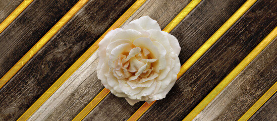 A white rose on diagonal dark wood planks with golden brushed inlay
