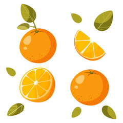 one orange on a white background with a leaf, without a leaf, half an orange. vector illustration. orange harvest. sliced orange, quarter of an orange, orange slices