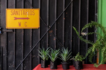 Sanitarios WC (sanitaire WC). Panneau jaune. Lettrage rouge. Sur cloison de métal noire. Plantes vertes. - obrazy, fototapety, plakaty