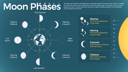 The Ultimate Guide to Understanding Moon Phases and Lunar Cycles: Waxing, Waning, Crescent, and Gibbous Moon Types Explained with Vector Infographics