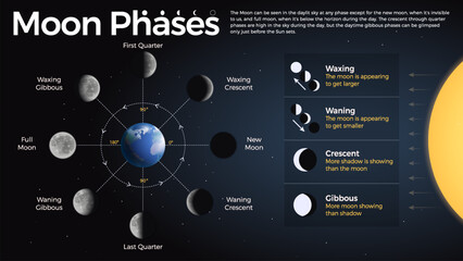 The Ultimate Guide to Understanding Moon Phases and Lunar Cycles: Waxing, Waning, Crescent, and Gibbous Moon Types Explained with Vector Infographics