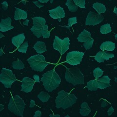 A photo of a bunch of clover leafs