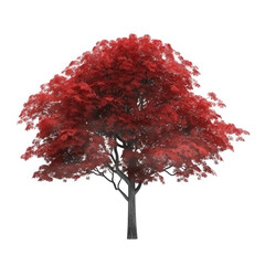 red tree isolated on white