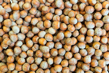 composition of piedmont igp hazelnuts