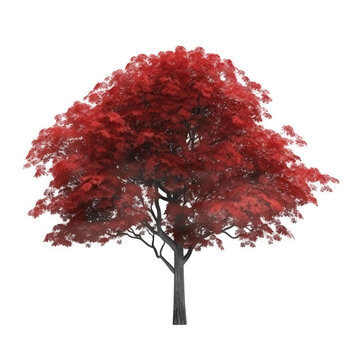 red tree isolated on white