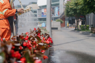 Naklejka premium person watering plants