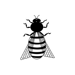 bee, sketch of a vector drawing, isolated on a white background. collection of insects