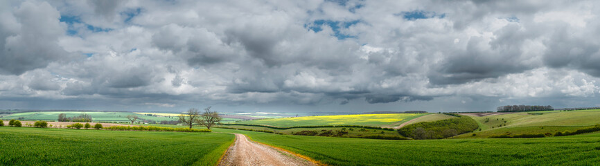 The Wolds with wheat growning in farmland. Sledmere, UK.