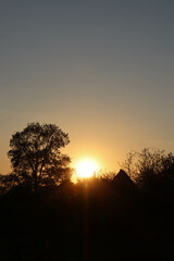 sunset in the forest