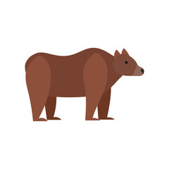 bear flat vector isolated in white