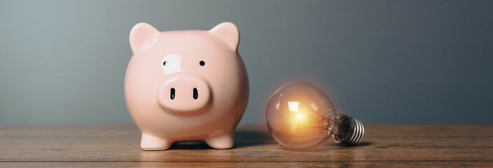 Piggy bank and light bulb