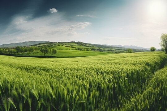 Panoramic spring landscape featuring lush green wheat fields. Generative AI