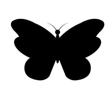 beautiful butterfly icon design template vector