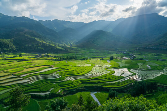 Terraced rice field in water season in Mu Cang Chai, Yen Bai Vietnam