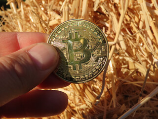 Bitcoin tenu en main devant une botte de pailles
