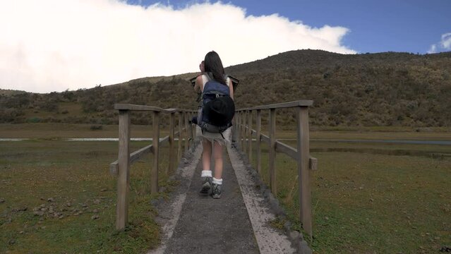 Rear tracking follow woman with hiking backpack walk across wooden bridge in cotopaxi national park