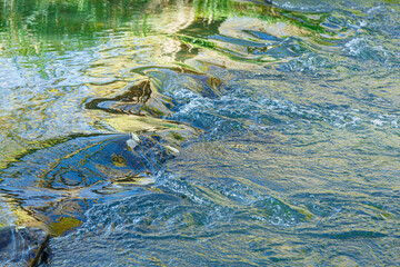 Fototapeta premium flow of water and spray from a stone