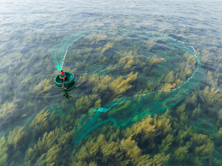 Top view of seaweed field in Nhon Hai, Quy Nhon, Binh Dinh, Vietnam © Hanoi Photography