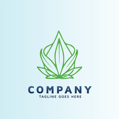 logo for store and website dedicated to Well being by the CBD