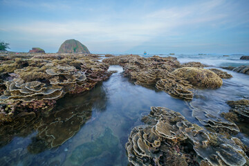 Fototapeta premium Shallow emerged coral reel during low sea tide at Hon Yen, Phu Yen, Vietnam