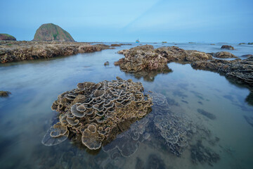Shallow emerged coral reel during low sea tide at Hon Yen, Phu Yen, Vietnam © Hanoi Photography
