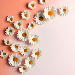 Cute Daisy Flowers Pattern On Peach Color Background Illustration