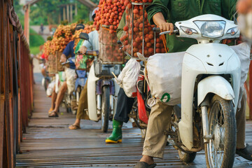 Fototapeta na wymiar Lychee market in Luc Ngan, Bac Giang, Vietnam during harvesting season