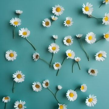 Cute Daisy Flowers Pattern On Soft Green Illustration