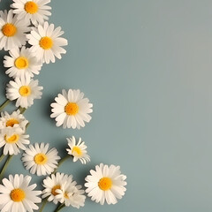 Cute Daisy Flowers Pattern On Gray Background Illustration