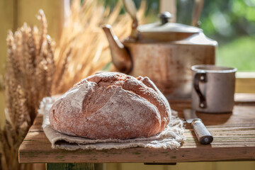 Rustic and fresh loaf of bread in morning in countryside.