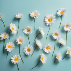 Cute Daisy Flowers Pattern On Soft Blue Background Illustration