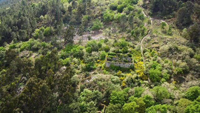 Aerial circling orbit shot of the ruins from the Santa Comba of Naves monastery in Ourense, Galicia, Spain
