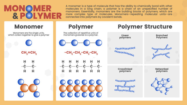 Monomers and polymers with Complex molecules structure formula and organic synthesis and Microscopic atom bonding diagram -educational vector infographics
