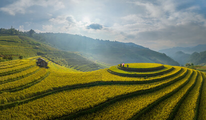 Terraced rice field in Mu Cang Chai, Yen Bai, Vietnam