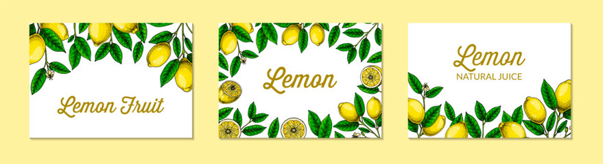 Horizontal lemon background. Hand drawn colorful vector illustration in sketch stile. Design for packaging, invitation, greeting cards