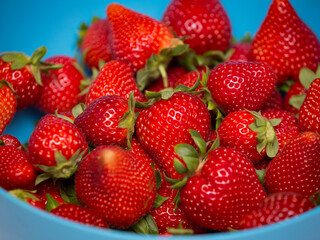 Detail of ripe organically grown strawberries looking great isolated.