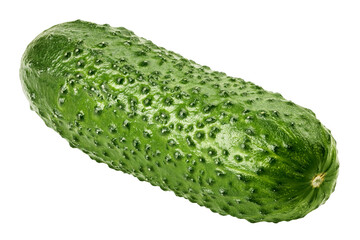 cucumber isolated on white background, full depth of field