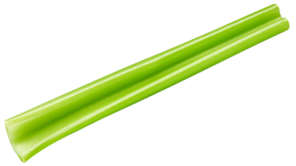 celery isolated on white background, full depth of field