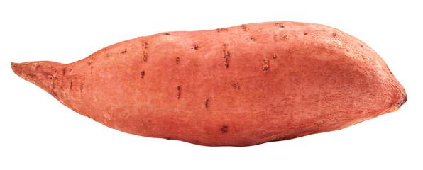 sweet potato, yam, isolated on white background, full depth of field